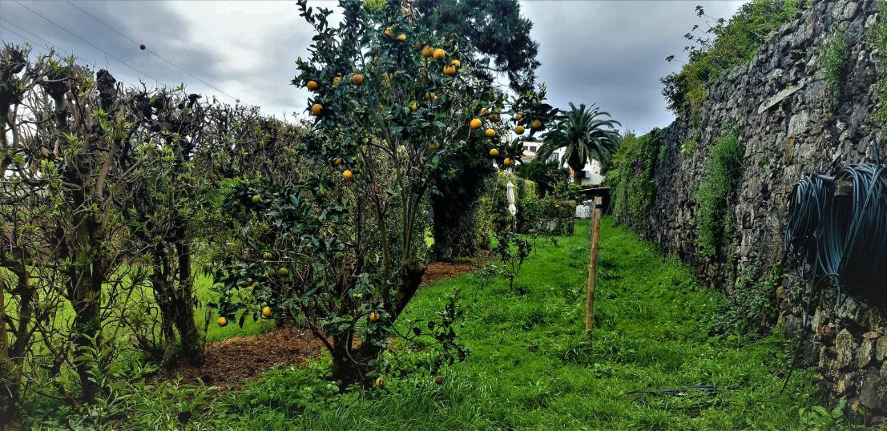 Quinta Do Bom Despacho Ponta Delgada Exterior foto